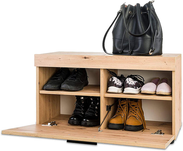 Schoenenkast, kantelbare schoenenkast met 2 laags structuur, handige handgreep, verstelbare planken, antislip onderleggers, schoenen opslag organisator voor huis, kantoor, hal, gang