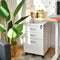 3 lade verrijdbare archiefkast, vergrendeling archiefkast met wielen en handgrepen, 40 x 50 x 64,5 cm (Wit)
