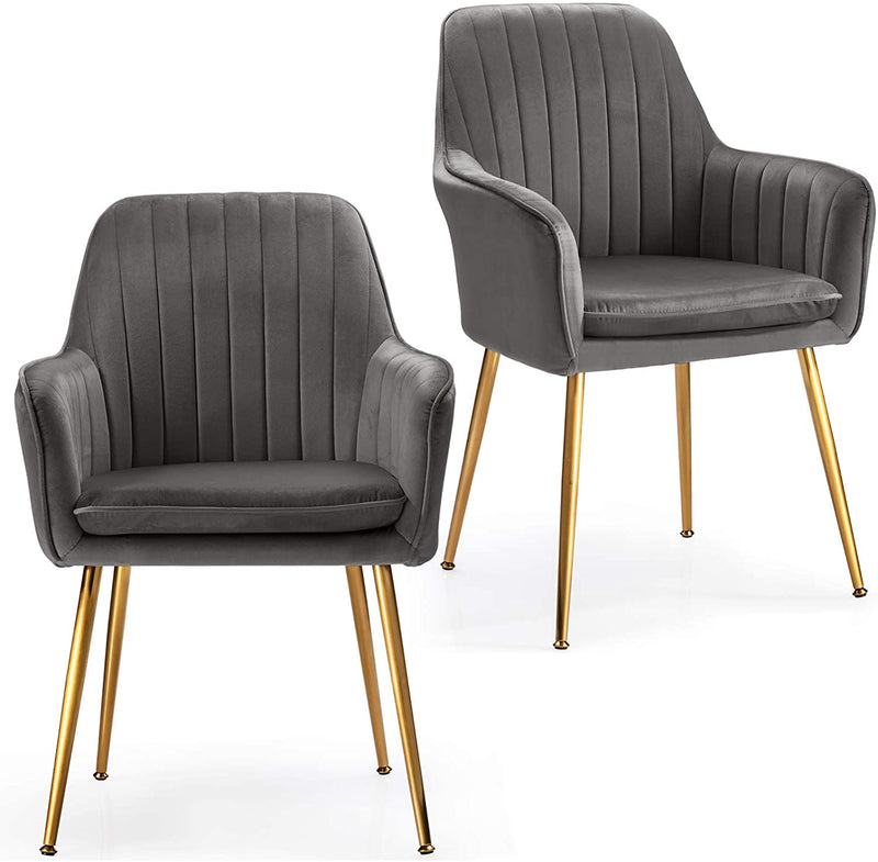 Set van 2 eetkamerstoel, vrijetijd/fauteuil stoelen, gestoffeerde armstoel met accenten, r (Grijs)