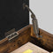 Zitbank, schoenbank, schoenenkast, bedkist met opbergruimte, gewatteerde kist, hal, slaapkamer, woonkamer, metaal, eenvoudige montage, kunstleer, industriële stijl, vintage bruin-zwart LSB46BX