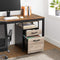 Archiefkast met 2 laden,  met wielen, rolcontainer,stalen frame, , grijs-zwart