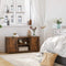 TV-meubel, , met deuren, open vakken, met 2 gaten voor kabels, verstelbare planken, voor TV's tot 50 inch, vintage bruin LTV101X01